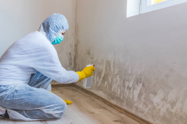 Hvac And Air Duct Mold Remediation inspection of HVAC system in Bethesda